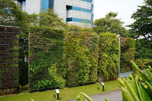 Giardino verticale esterno su facciata di un edificio direzionale Giardino verticale esterno su facciata di un edificio direzionale, con moduli di piante sempreverdi